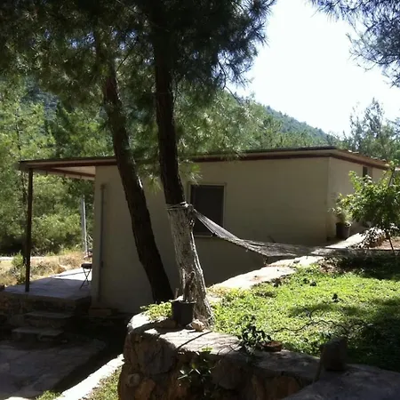 In Tranquility Holiday home Kocaalagolkoy
